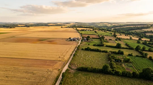 Vue aérienne d'une exploitation agricole française divisée entre grandes parcelles céréalières et zones diversifiées de polyculture-élevage, symbolisant le choix d'un système de production adapté à la taille et au sol.