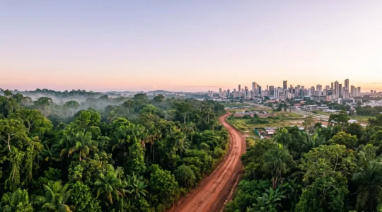 Vue symbolique d'une forêt tropicale dense confrontée à l'étalement urbain, illustrant l'origine des pandémies modernes
